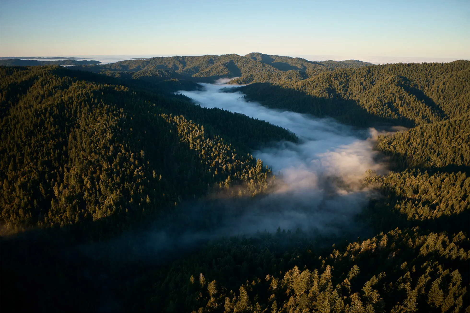 Aerial view of a forested mountain valley filled with thick morning fog at sunrise.